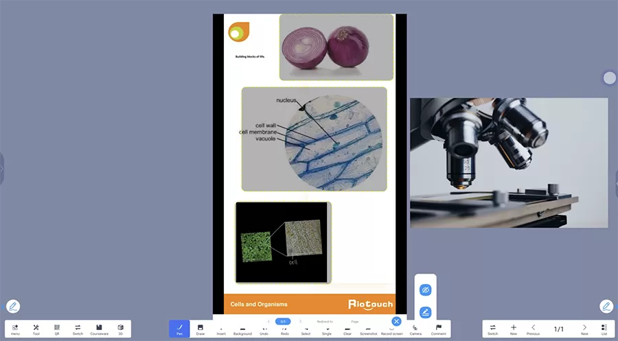 Support Courseware presentation with real-time testing capabilities